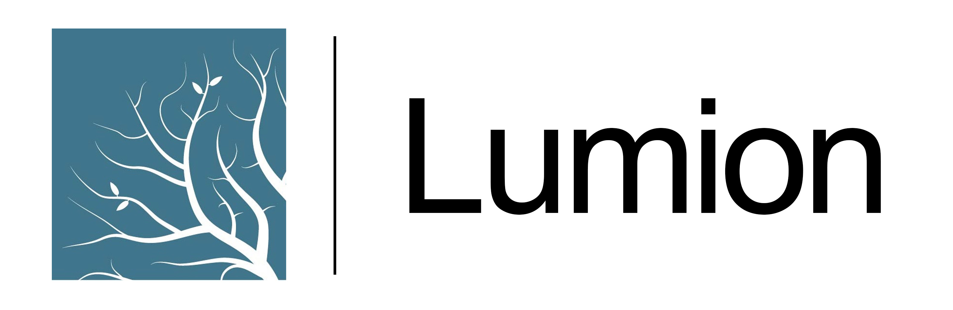 دوره لومیون در آموزشگاه مهرگان اصفهان